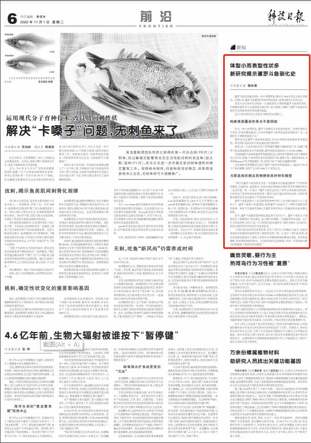 f962a44fd17744a187298bff82be3812.png